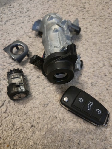 Audi ignition barrel door - audi,