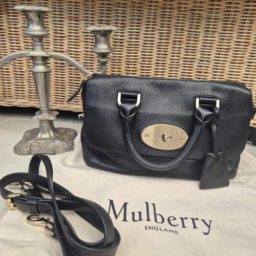 Mulberry del rey - rey, small
