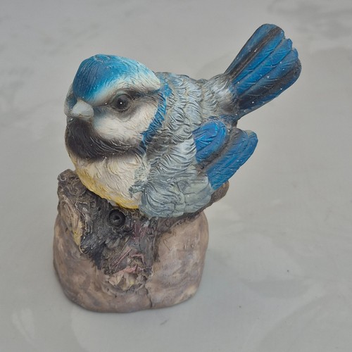Singing blue tit - singing, bird