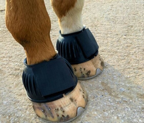 Single strap horse - horse, boots