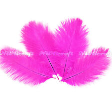 Fuchsia Pink Natural Genuine Ostrich Feather Fluffy Costume Craft Party Decor