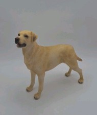 Best breed golden - best,