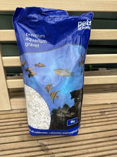 Aquarium fish tank - fish,
