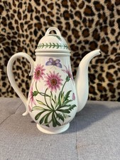 Portmerion Botanic garden