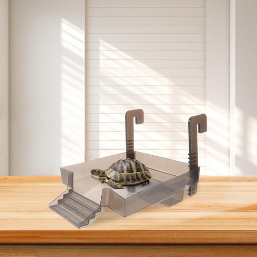 Pet turtle basking area - turtle,