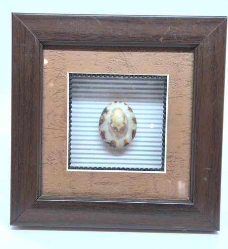 Framed white heart - framed,
