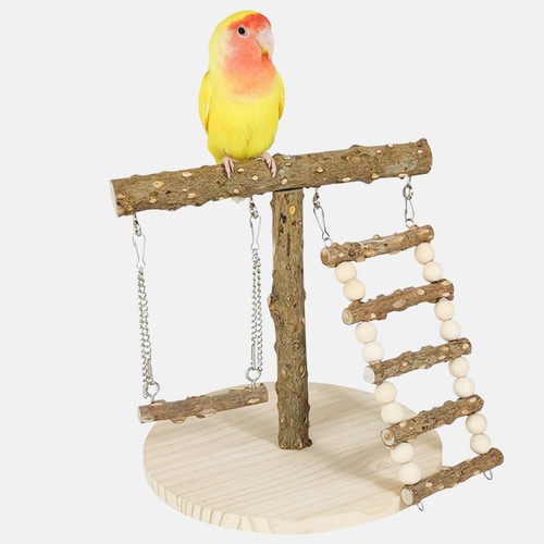 Perches exercise play gym - play,