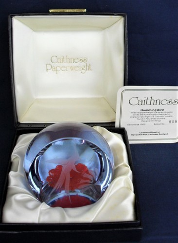 Caithness humming bird - humming,