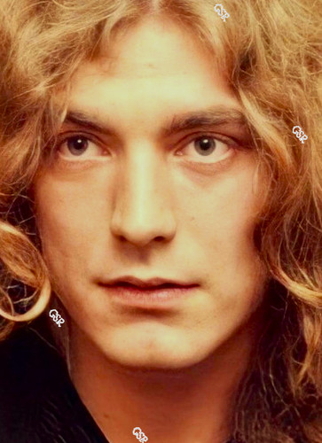 Robert plant led - plant,