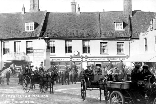Kzz fitzwilliam fox hounds - kzz-82,