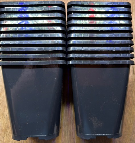 Plant pots packs of - plant,