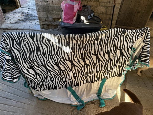 Zebra print full - full, fly