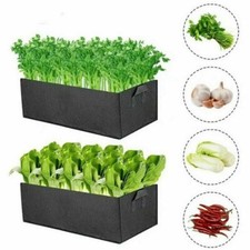 1/10 Large Plant Grow Bag