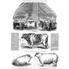 Smithfield Club Christmas