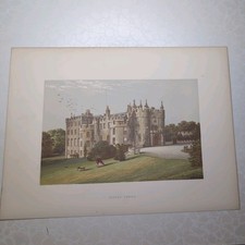 Original c1880 Print Of Picton
