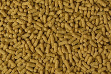 Pettex Natural Floating Pond Sticks Pond Koi feed Carp Goldfish Coldwater 1kg