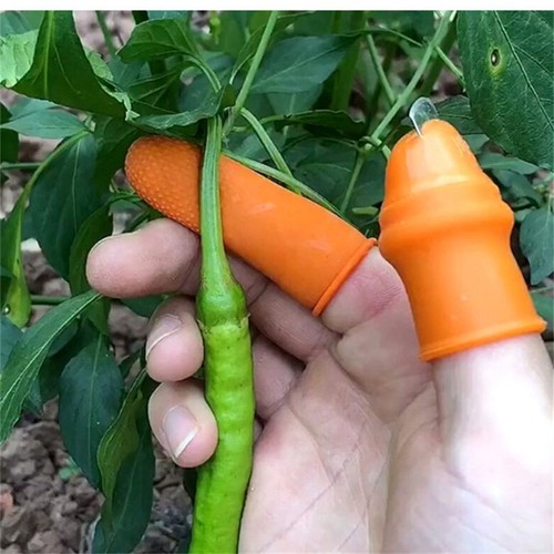 Vegetables and fruits thumb - and,