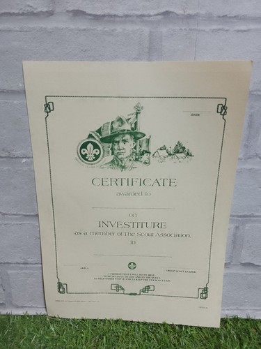 Scout association certificate - association,