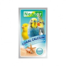Bird Healthy Food Pet Natural
