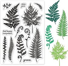 INFUNLY Plant Silicone Clear