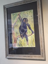 Wild Baby Chimpanzee Original