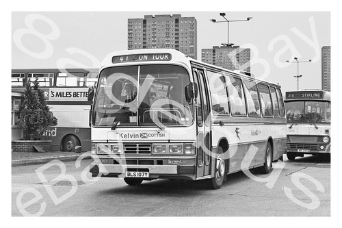 Bus photograph kelvin - bus,