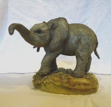 Teviotdale Baby Elephant - D