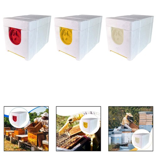 Queen bee breeding box - queen,