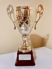 Silver sports trophy - silver,