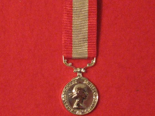 Miniature coastguard auxiliary - coastguard,