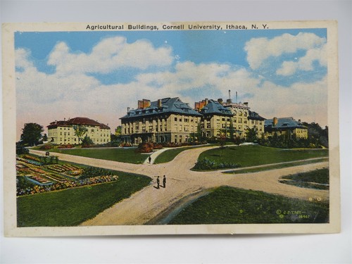 Vintage postcard - postcard,