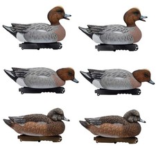 Eurasian Wigeon Duck Decoys -