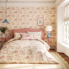 Sanderson Options Aesops