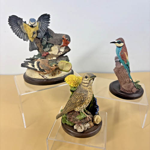 Country bird collection 3 - bird, x