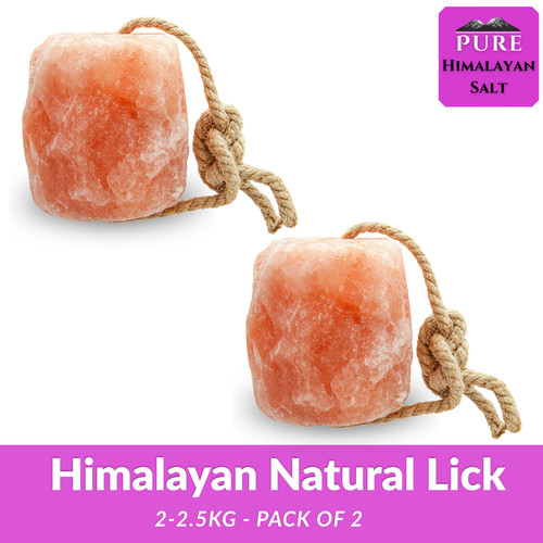 Himalayan salt lick for - himalayan,