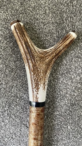 Stag horn hazel wading - horn, &