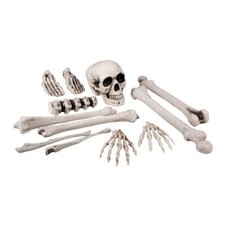 12PC SKULL AND BONES (25CM)
