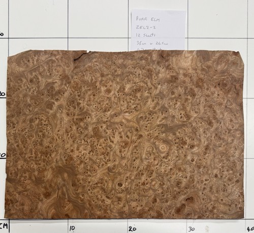 Burr elm real - burr, wood