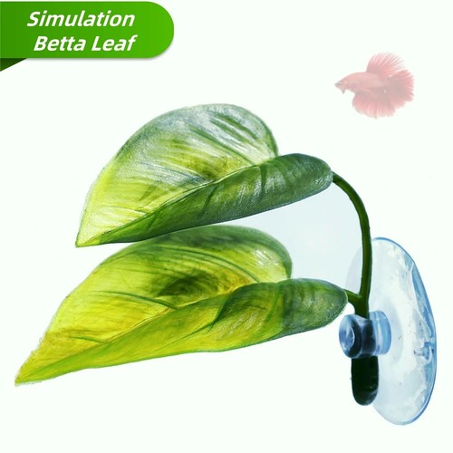 Betta fish aquarium leaf - aquarium,