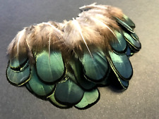 50pcs Lady Amherst Natural