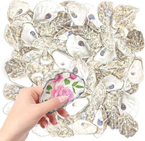 Pcs natural oyster - 50,