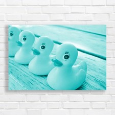 Charming Rubber Ducks For