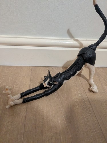 Breed apart tuxedo cat - apart,
