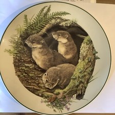 Wedgwood Plate The Baby Animal