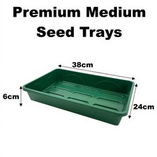 Medium Premium 38cm Solid Seed