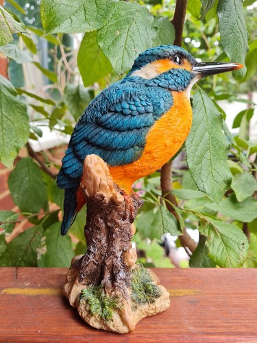 Vivid arts kingfisher - arts, stump