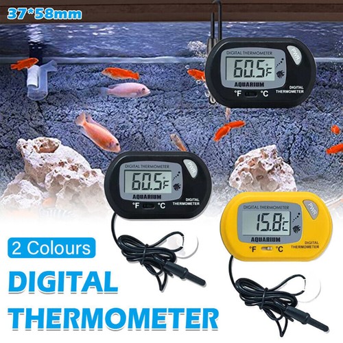 Digital lcd thermometer - digital,