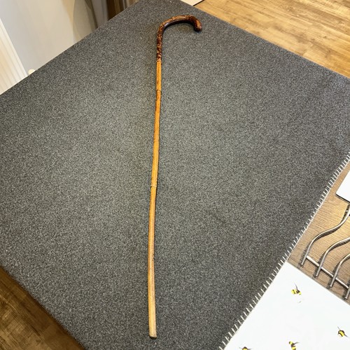 Walking cane school headmaster