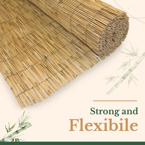 Bamboo natural fence screening - fence,