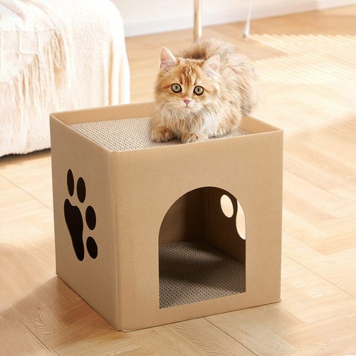 Cat scratching cardboard - scratching, house